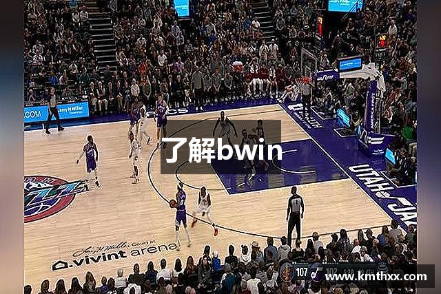 了解bwin